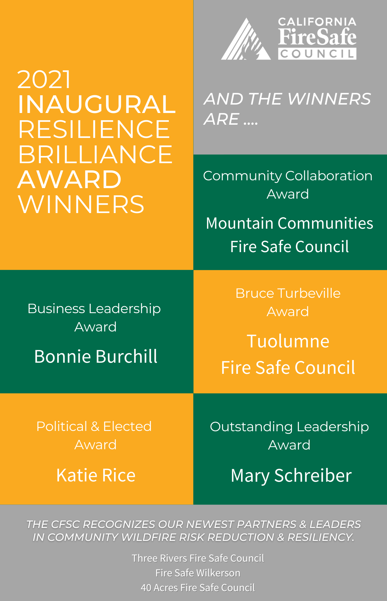 2021 Annual Inaugural Resilience Brilliance Award Winners graphic