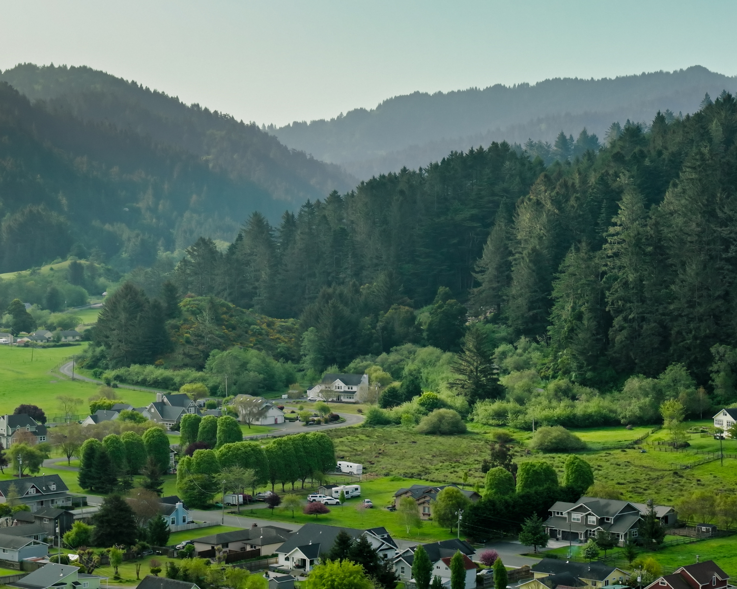 Untitled (1500 x 1200 px)-2