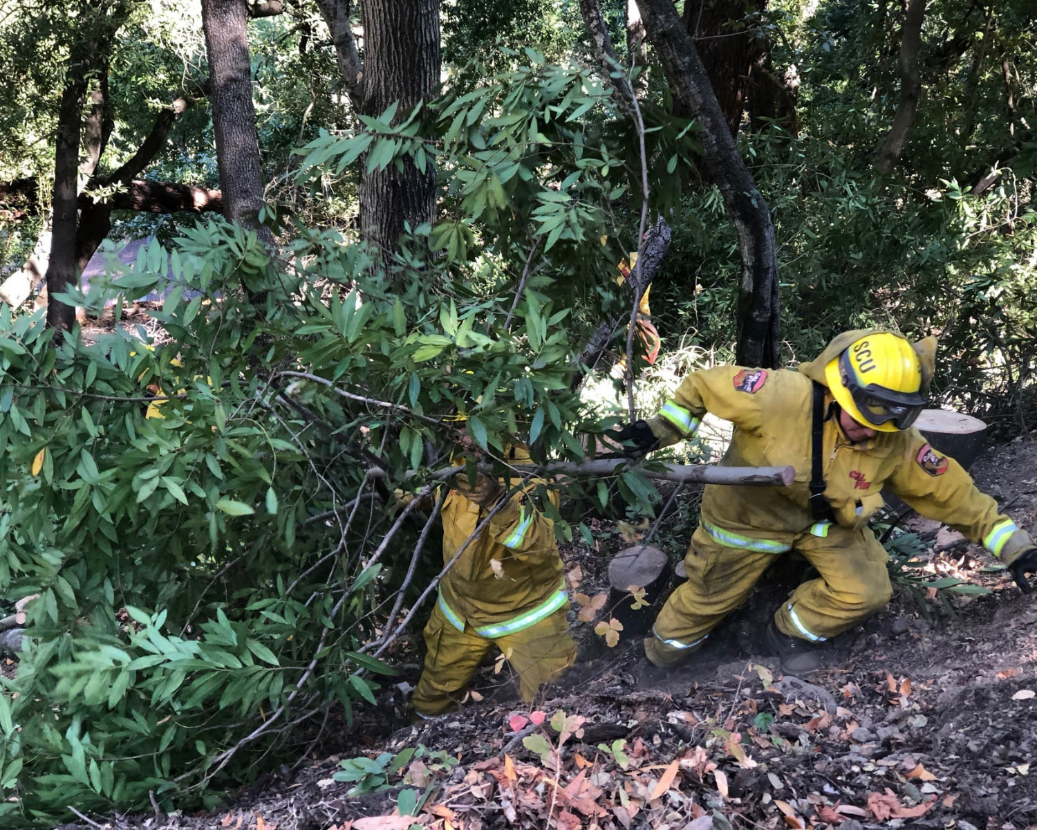 Untitled (1500 x 1200 px)-4