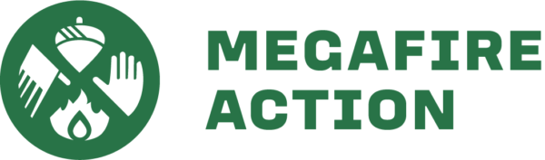 megafire-action-full-logo-fern